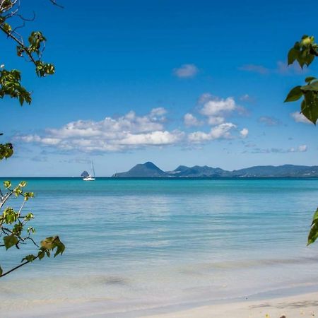 Apartmán Studio A Louer Proche Des Plages Sainte-Anne Exteriér fotografie