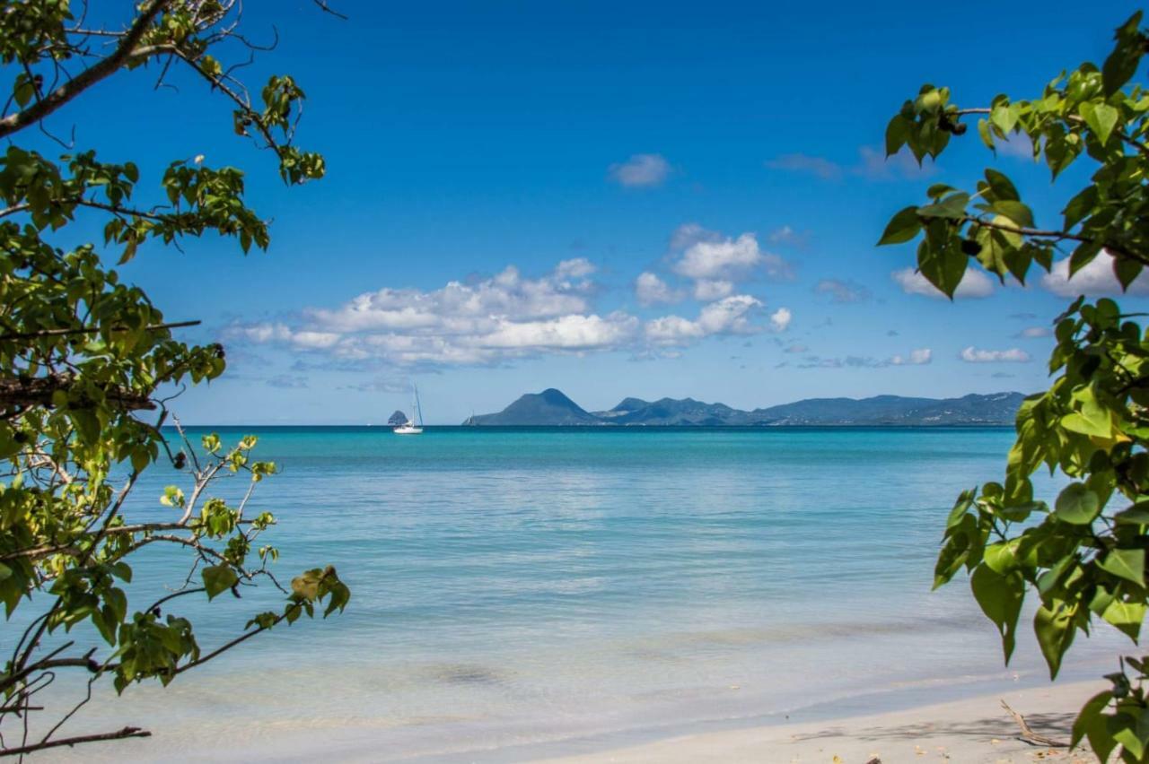 Apartmán Studio A Louer Proche Des Plages Sainte-Anne Exteriér fotografie