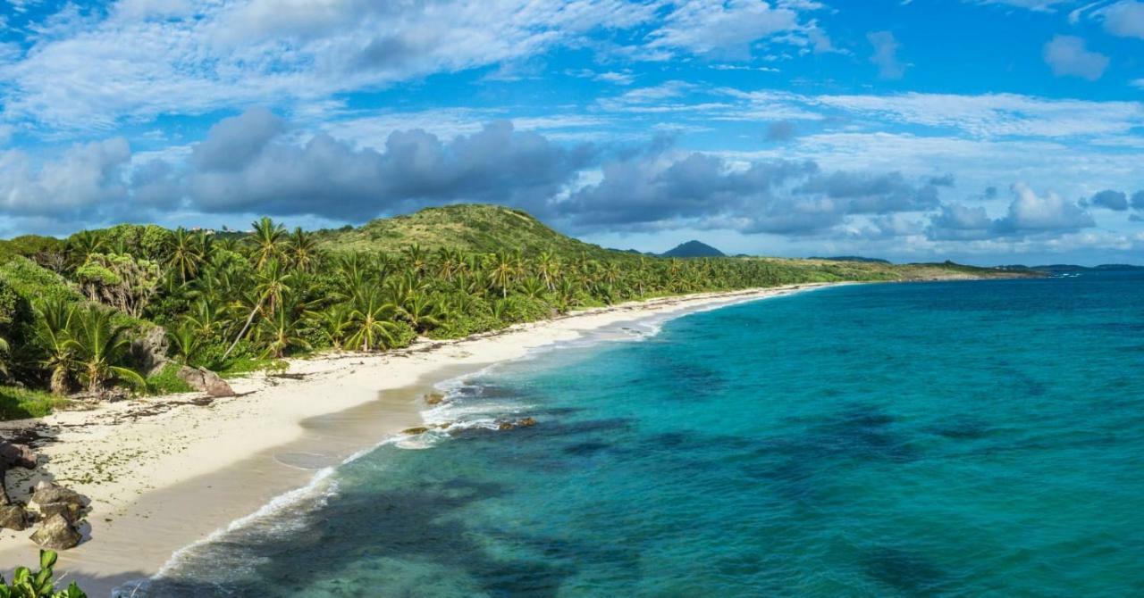 Apartmán Studio A Louer Proche Des Plages Sainte-Anne Exteriér fotografie